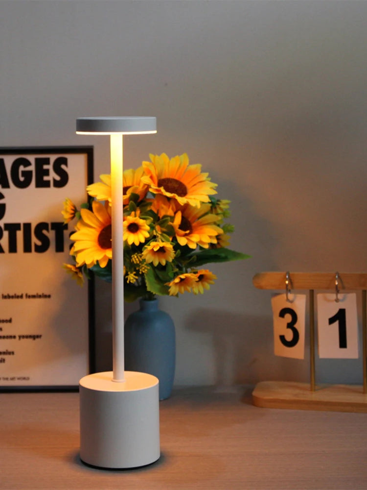 LED Ambient Table Lamp, USB Rechargeable Desk Lamp,